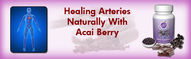Natural Home Cures Freeze Dried Acai Berry May Help You With Your Atherosclerosis